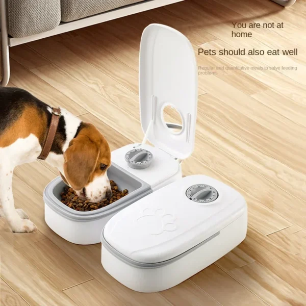 Dog Feeder Cat Automatic Feeding Water Bowl with Timer Pet Food Storage Dispenser Container Pets Puppy Kitten Accessories