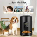 2L Pet Feeder Timing Smart Automatic Dog Pet Feeder for Cats Dog Button Intelligent Dry Food Dispenser Dog Bowl - Image 6