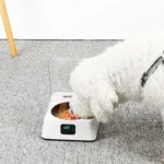Infrared Sensor Cat Feeder Automatic Cat Feeder Battery Powered Safe Multifunction Easy To Clean Removable Bowl for Cats