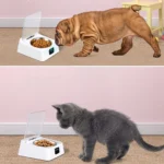 Infrared Sensor Cat Feeder Automatic Opening Lid Cat Feeder Multifunction Removable Bowl Rechargeable Battery Powered for Dogs - Image 2