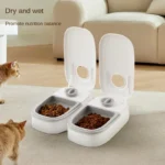 Dog Feeder Cat Automatic Feeding Water Bowl with Timer Pet Food Storage Dispenser Container Pets Puppy Kitten Accessories - Image 5