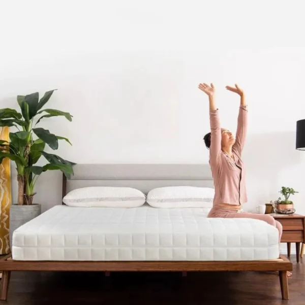 Cozy Queen Hard Bed Mattress Spring Extension Roll Salon King Twin Mattress Core Sleep Colchon Matrimonial Bedroom Furniture