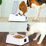 Infrared Sensor Cat Feeder Automatic Opening Lid Cat Feeder Multifunction Removable Bowl Rechargeable Battery Powered for Dogs