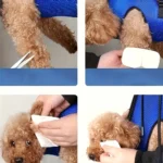 Pet Grooming Hammock Cat Dog Nail Clipper Fixer Teddy Hook Type Feeding Anti-scratch Artifact Restraint Bag Pet Accessories - Image 2